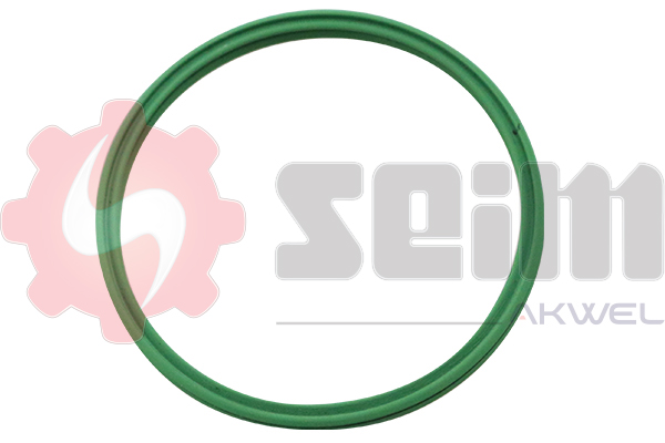 Laadlucht-/turboslang Seim 981840