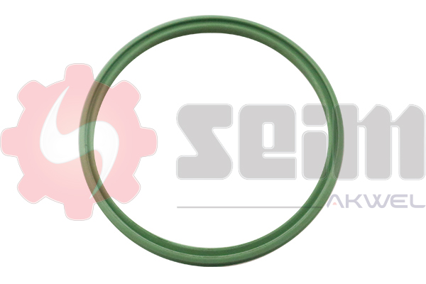 Laadlucht-/turboslang Seim 981968