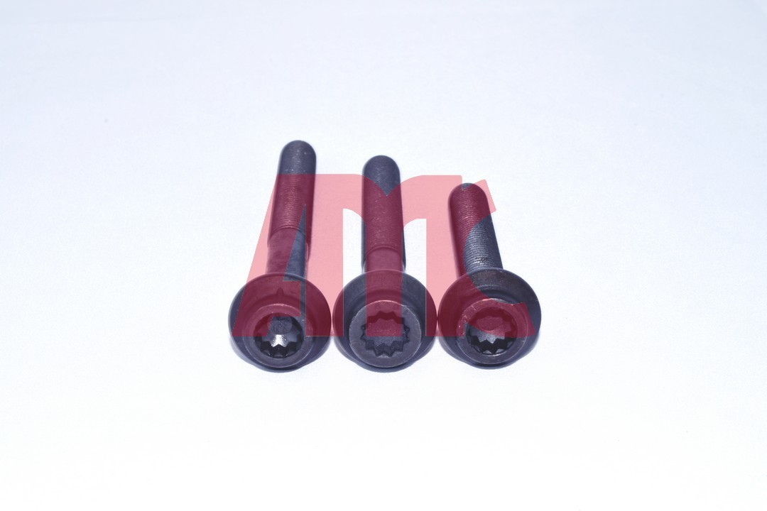 Cilinderkopboutenset AMC 258012