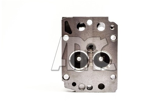 Cilinderkop AMC 939870