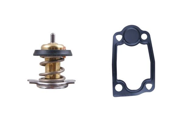 Mahle Original Thermostaat TX 266 79D