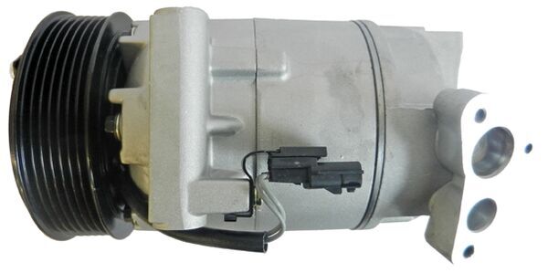 Mahle Original Airco compressor ACP 164 000S