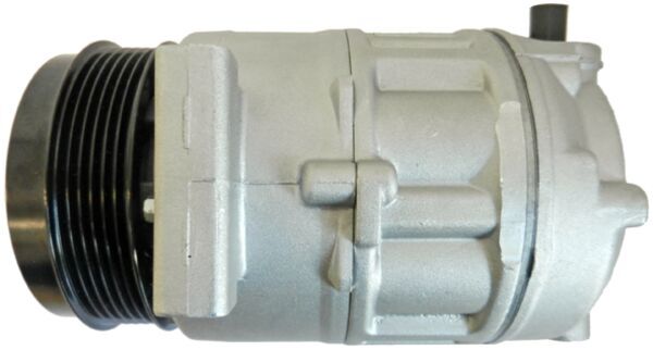 Mahle Original Airco compressor ACP 344 000S