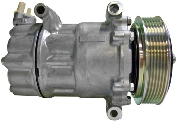 Mahle Original Airco compressor ACP 363 000P