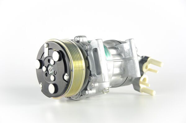Mahle Original Airco compressor ACP 384 000P