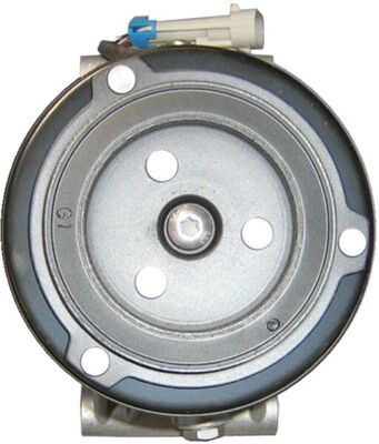 Mahle Original Airco compressor ACP 45 000P