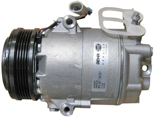 Mahle Original Airco compressor ACP 45 000P