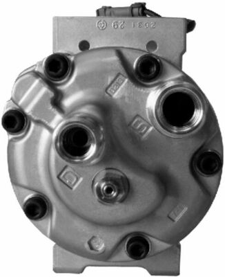 Mahle Original Airco compressor ACP 53 000S