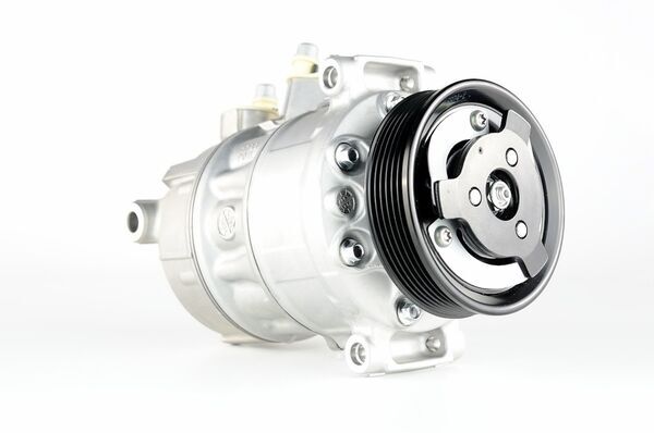 Mahle Original Airco compressor ACP 544 000P