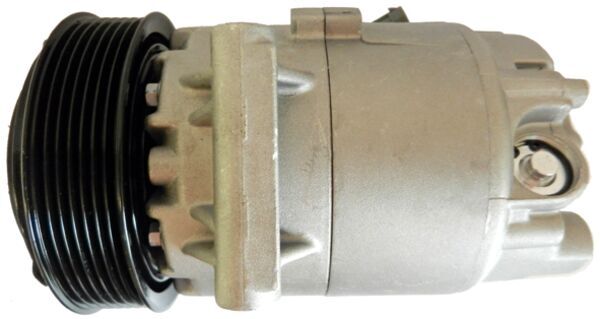 Mahle Original Airco compressor ACP 73 000S