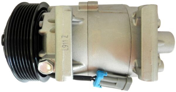 Mahle Original Airco compressor ACP 73 000S