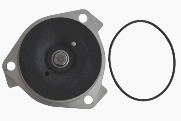 Mahle Original Waterpomp CP 138 000P