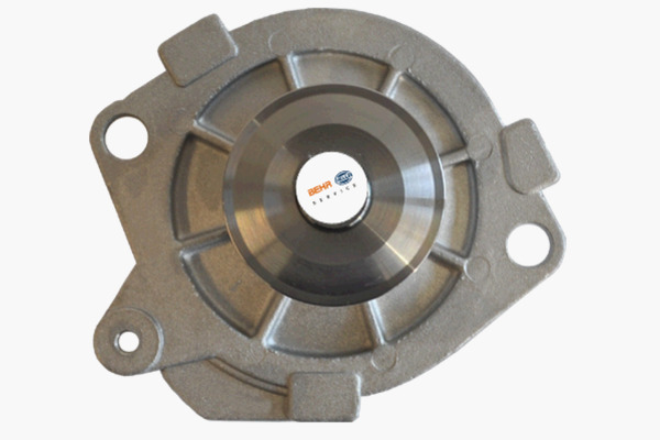 Mahle Original Waterpomp CP 42 000P