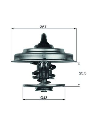 Thermostaat Mahle Original TX 18 71D