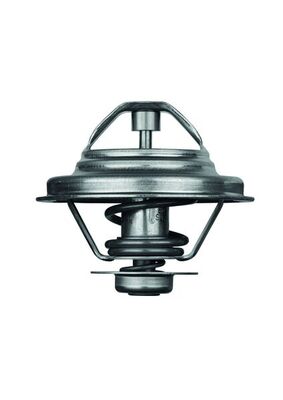 Mahle Original Thermostaat TX 24 87D