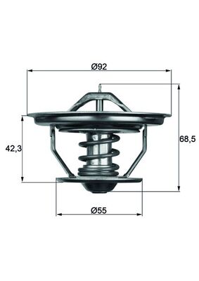 Thermostaat Mahle Original TX 35 79