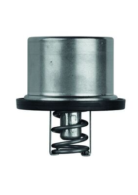 Mahle Original Thermostaat TX 37 79