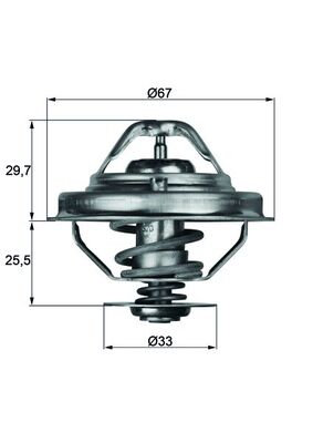 Thermostaat Mahle Original TX 38 80D