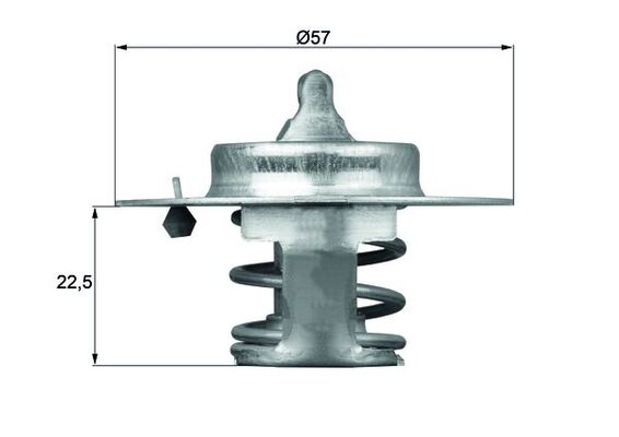 Thermostaat Mahle Original TX 60 83D