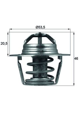 Thermostaat Mahle Original TX 91 89D