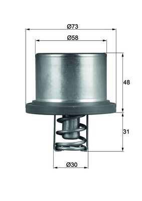 Thermostaat Mahle Original THD 2 89