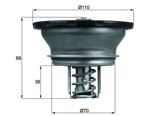 Thermostaat Mahle Original THD 3 76