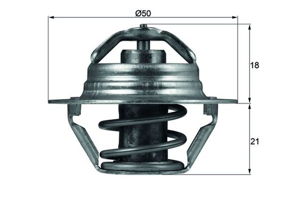 Thermostaat Mahle Original TX 100 89D