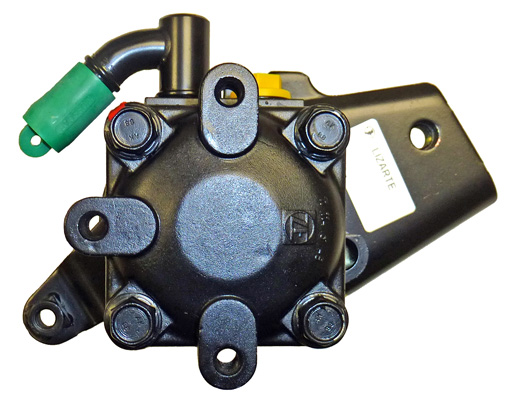 Lizarte Servopomp 04.88.0210