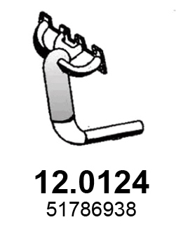Katalysator Asso 12.0124