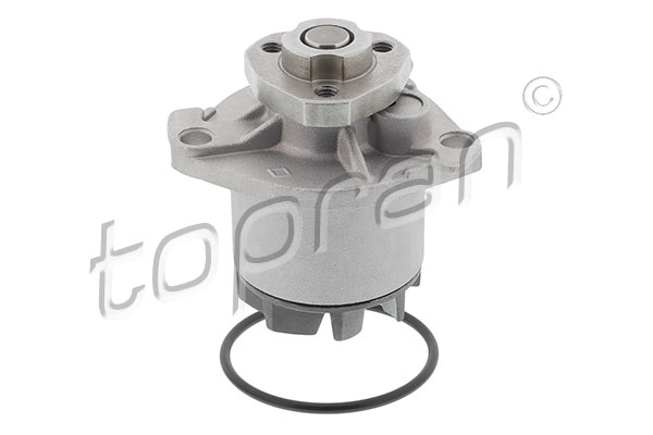 Waterpomp Topran 100 112