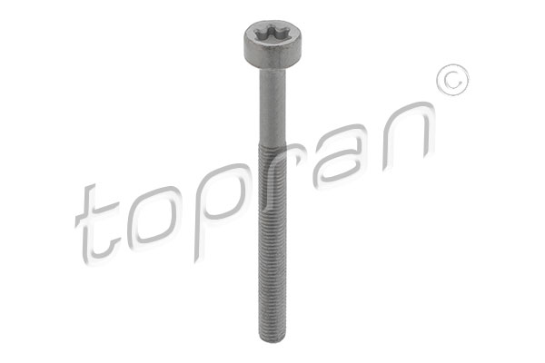 Schroef Topran 410 287