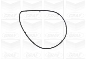 Graf Waterpomp PA1001
