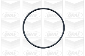 Graf Waterpomp PA103