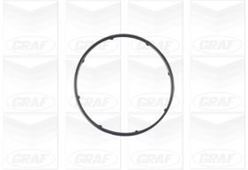 Graf Waterpomp PA1083