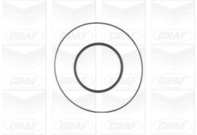 Graf Waterpomp PA1108