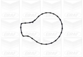 Graf Waterpomp PA1134