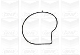 Graf Waterpomp PA1139
