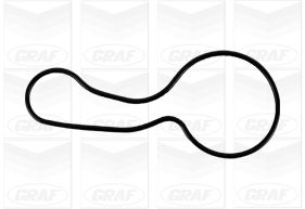 Graf Waterpomp PA1149