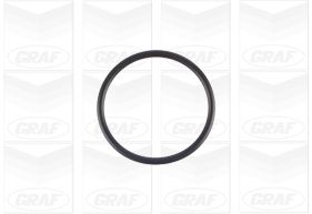 Graf Waterpomp PA1154