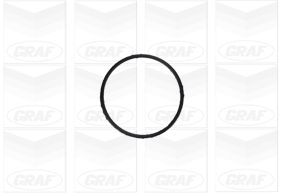 Graf Waterpomp PA1155