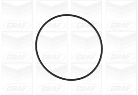 Graf Waterpomp PA1198