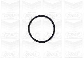 Graf Waterpomp PA1245