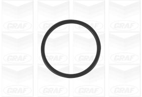 Graf Waterpomp PA1256