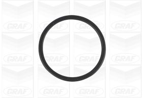 Graf Waterpomp PA1269