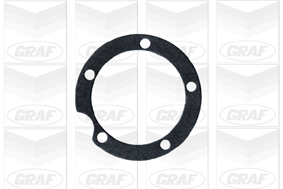 Graf Waterpomp PA134