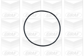 Graf Waterpomp PA409
