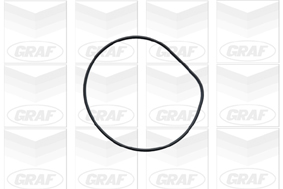 Graf Waterpomp PA426