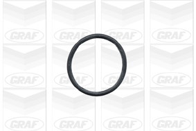 Graf Waterpomp PA430