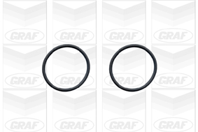 Graf Waterpomp PA546