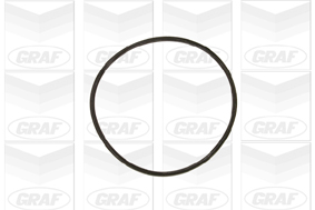 Graf Waterpomp PA609